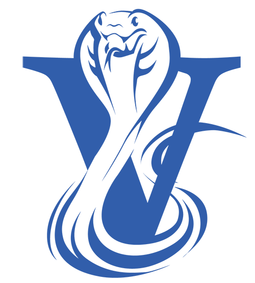 blue viper logo